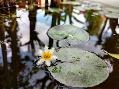 六合彩彩票数据分析